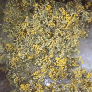 Сушеные цветки пижмы